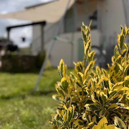 Gæstehus Cascina 1956