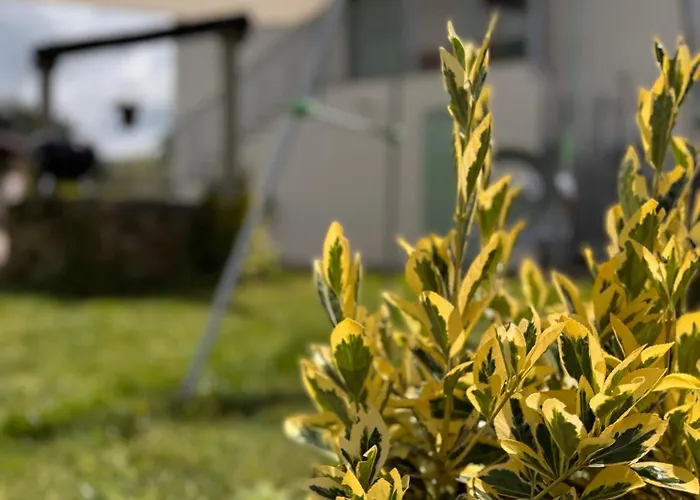 Affittacamere Cascina 1956